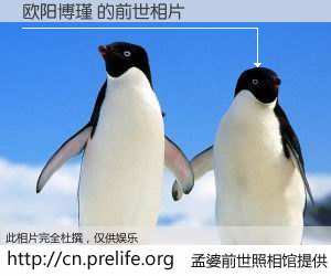 #孟婆前世照相馆# 【欧阳博瑾 的前世相片】我们都曾从奈何桥上走过，喝下三碗忘川之水烹煮的孟婆汤，忘却了前尘旧事。孟婆前世照相馆，保存着你前世的数码相片。欧阳博瑾 的前世相片，有图有真相：