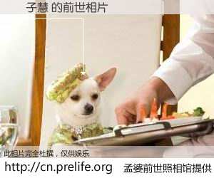 #孟婆前世照相馆# 【溫子慧 的前世相片】我们都曾从奈何桥上走过，喝下三碗忘川之水烹煮的孟婆汤，忘却了前尘旧事。孟婆前世照相馆，保存着你前世的数码相片。溫子慧 的前世相片，有图有真相：