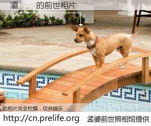 #孟婆前世照相馆# 【灞佽泲 的前世相片】我们都曾从奈何桥上走过，喝下三碗忘川之水烹煮的孟婆汤，忘却了前尘旧事。孟婆前世照相馆，保存着你前世的数码相片。灞佽泲 的前世相片，有图有真相：