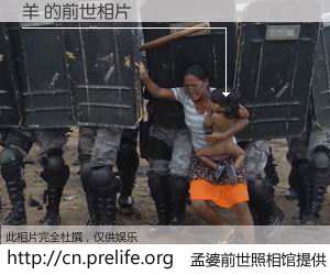 #孟婆前世照相馆# 【羊 的前世相片】我们都曾从奈何桥上走过，喝下三碗忘川之水烹煮的孟婆汤，忘却了前尘旧事。孟婆前世照相馆，保存着你前世的数码相片。羊 的前世相片，有图有真相：