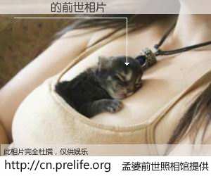 #孟婆前世照相馆# 【華鈞嫺 的前世相片】我们都曾从奈何桥上走过，喝下三碗忘川之水烹煮的孟婆汤，忘却了前尘旧事。孟婆前世照相馆，保存着你前世的数码相片。華鈞嫺 的前世相片，有图有真相：