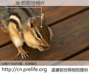 #孟婆前世照相馆# 【賴玨光 的前世相片】我们都曾从奈何桥上走过，喝下三碗忘川之水烹煮的孟婆汤，忘却了前尘旧事。孟婆前世照相馆，保存着你前世的数码相片。賴玨光 的前世相片，有图有真相：