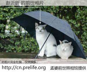 #孟婆前世照相馆# 【赵沂昕 的前世相片】我们都曾从奈何桥上走过，喝下三碗忘川之水烹煮的孟婆汤，忘却了前尘旧事。孟婆前世照相馆，保存着你前世的数码相片。赵沂昕 的前世相片，有图有真相：