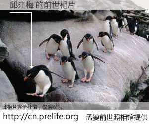 #孟婆前世照相馆# 【邱江梅 的前世相片】我们都曾从奈何桥上走过，喝下三碗忘川之水烹煮的孟婆汤，忘却了前尘旧事。孟婆前世照相馆，保存着你前世的数码相片。邱江梅 的前世相片，有图有真相：