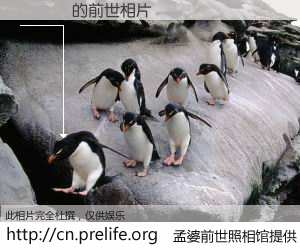 #孟婆前世照相馆# 【閭撹秴 的前世相片】我们都曾从奈何桥上走过，喝下三碗忘川之水烹煮的孟婆汤，忘却了前尘旧事。孟婆前世照相馆，保存着你前世的数码相片。閭撹秴 的前世相片，有图有真相：