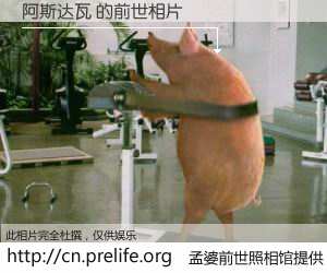 #孟婆前世照相馆# 【阿斯达瓦 的前世相片】我们都曾从奈何桥上走过，喝下三碗忘川之水烹煮的孟婆汤，忘却了前尘旧事。孟婆前世照相馆，保存着你前世的数码相片。阿斯达瓦 的前世相片，有图有真相：