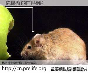 #孟婆前世照相馆# 【陈锦榆 的前世相片】我们都曾从奈何桥上走过，喝下三碗忘川之水烹煮的孟婆汤，忘却了前尘旧事。孟婆前世照相馆，保存着你前世的数码相片。陈锦榆 的前世相片，有图有真相：