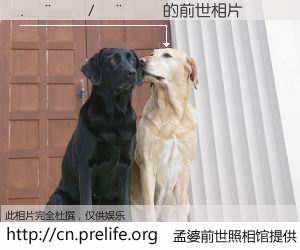 #孟婆前世照相馆# 【.����/���� 的前世相片】我们都曾从奈何桥上走过，喝下三碗忘川之水烹煮的孟婆汤，忘却了前尘旧事。孟婆前世照相馆，保存着你前世的数码相片。.����/���� 的前世相片，有图有真相：