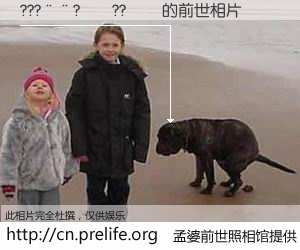 #孟婆前世照相馆# 【???��?��??�� 的前世相片】我们都曾从奈何桥上走过，喝下三碗忘川之水烹煮的孟婆汤，忘却了前尘旧事。孟婆前世照相馆，保存着你前世的数码相片。???��?��??�� 的前世相片，有图有真相：