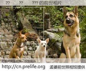 #孟婆前世照相馆# 【??��??��??? 的前世相片】我们都曾从奈何桥上走过，喝下三碗忘川之水烹煮的孟婆汤，忘却了前尘旧事。孟婆前世照相馆，保存着你前世的数码相片。??��??��??? 的前世相片，有图有真相：