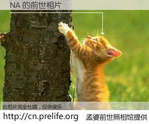 #孟婆前世照相馆# 【NA 的前世相片】我们都曾从奈何桥上走过，喝下三碗忘川之水烹煮的孟婆汤，忘却了前尘旧事。孟婆前世照相馆，保存着你前世的数码相片。NA 的前世相片，有图有真相：