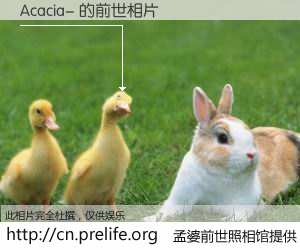 #孟婆前世照相馆# 【Acacia- 的前世相片】我们都曾从奈何桥上走过，喝下三碗忘川之水烹煮的孟婆汤，忘却了前尘旧事。孟婆前世照相馆，保存着你前世的数码相片。Acacia- 的前世相片，有图有真相：