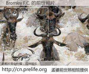 #孟婆前世照相馆# 【Bromley F.C. 的前世相片】我们都曾从奈何桥上走过，喝下三碗忘川之水烹煮的孟婆汤，忘却了前尘旧事。孟婆前世照相馆，保存着你前世的数码相片。Bromley F.C. 的前世相片，有图有真相：