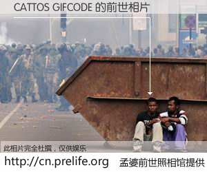 #孟婆前世照相馆# 【CATTOS GIFCODE 的前世相片】我们都曾从奈何桥上走过，喝下三碗忘川之水烹煮的孟婆汤，忘却了前尘旧事。孟婆前世照相馆，保存着你前世的数码相片。CATTOS GIFCODE 的前世相片，有图有真相：