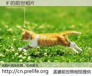 #孟婆前世照相馆# 【IF 的前世相片】我们都曾从奈何桥上走过，喝下三碗忘川之水烹煮的孟婆汤，忘却了前尘旧事。孟婆前世照相馆，保存着你前世的数码相片。IF 的前世相片，有图有真相：