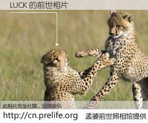 #孟婆前世照相馆# 【LUCK 的前世相片】我们都曾从奈何桥上走过，喝下三碗忘川之水烹煮的孟婆汤，忘却了前尘旧事。孟婆前世照相馆，保存着你前世的数码相片。LUCK 的前世相片，有图有真相：