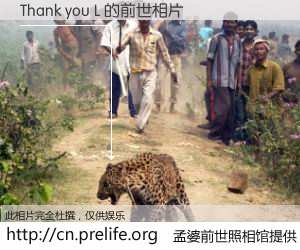 #孟婆前世照相馆# 【Thank you L 的前世相片】我们都曾从奈何桥上走过，喝下三碗忘川之水烹煮的孟婆汤，忘却了前尘旧事。孟婆前世照相馆，保存着你前世的数码相片。Thank you L 的前世相片，有图有真相：