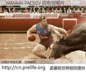 #孟婆前世照相馆# 【YAMAHA PAC112V 的前世相片】我们都曾从奈何桥上走过，喝下三碗忘川之水烹煮的孟婆汤，忘却了前尘旧事。孟婆前世照相馆，保存着你前世的数码相片。YAMAHA PAC112V 的前世相片，有图有真相：