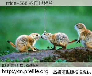 #孟婆前世照相馆# 【mide-568 的前世相片】我们都曾从奈何桥上走过，喝下三碗忘川之水烹煮的孟婆汤，忘却了前尘旧事。孟婆前世照相馆，保存着你前世的数码相片。mide-568 的前世相片，有图有真相：