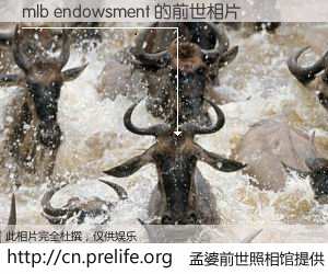 #孟婆前世照相馆# 【mlb endowsment 的前世相片】我们都曾从奈何桥上走过，喝下三碗忘川之水烹煮的孟婆汤，忘却了前尘旧事。孟婆前世照相馆，保存着你前世的数码相片。mlb endowsment 的前世相片，有图有真相：