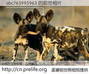 #孟婆前世照相馆# 【abc763995963 的前世相片】我们都曾从奈何桥上走过，喝下三碗忘川之水烹煮的孟婆汤，忘却了前尘旧事。孟婆前世照相馆，保存着你前世的数码相片。abc763995963 的前世相片，有图有真相：