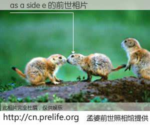 #孟婆前世照相馆# 【as a side e 的前世相片】我们都曾从奈何桥上走过，喝下三碗忘川之水烹煮的孟婆汤，忘却了前尘旧事。孟婆前世照相馆，保存着你前世的数码相片。as a side e 的前世相片，有图有真相：