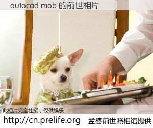 #孟婆前世照相馆# 【autocad mob 的前世相片】我们都曾从奈何桥上走过，喝下三碗忘川之水烹煮的孟婆汤，忘却了前尘旧事。孟婆前世照相馆，保存着你前世的数码相片。autocad mob 的前世相片，有图有真相：