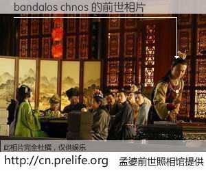 #孟婆前世照相馆# 【bandalos chnos 的前世相片】我们都曾从奈何桥上走过，喝下三碗忘川之水烹煮的孟婆汤，忘却了前尘旧事。孟婆前世照相馆，保存着你前世的数码相片。bandalos chnos 的前世相片，有图有真相：