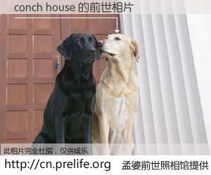 #孟婆前世照相馆# 【conch house 的前世相片】我们都曾从奈何桥上走过，喝下三碗忘川之水烹煮的孟婆汤，忘却了前尘旧事。孟婆前世照相馆，保存着你前世的数码相片。conch house 的前世相片，有图有真相：