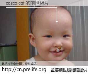 #孟婆前世照相馆# 【cosco cat 的前世相片】我们都曾从奈何桥上走过，喝下三碗忘川之水烹煮的孟婆汤，忘却了前尘旧事。孟婆前世照相馆，保存着你前世的数码相片。cosco cat 的前世相片，有图有真相：