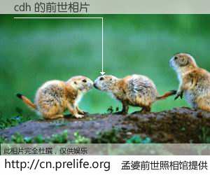 #孟婆前世照相馆# 【cdh 的前世相片】我们都曾从奈何桥上走过，喝下三碗忘川之水烹煮的孟婆汤，忘却了前尘旧事。孟婆前世照相馆，保存着你前世的数码相片。cdh 的前世相片，有图有真相：