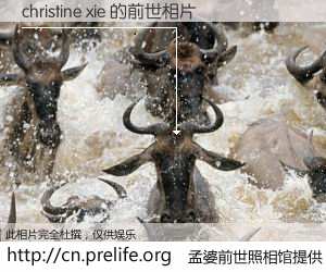 #孟婆前世照相馆# 【christine xie 的前世相片】我们都曾从奈何桥上走过，喝下三碗忘川之水烹煮的孟婆汤，忘却了前尘旧事。孟婆前世照相馆，保存着你前世的数码相片。christine xie 的前世相片，有图有真相：