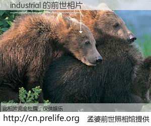 #孟婆前世照相馆# 【industrial 的前世相片】我们都曾从奈何桥上走过，喝下三碗忘川之水烹煮的孟婆汤，忘却了前尘旧事。孟婆前世照相馆，保存着你前世的数码相片。industrial 的前世相片，有图有真相：