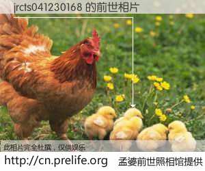 #孟婆前世照相馆# 【jrcts041230168 的前世相片】我们都曾从奈何桥上走过，喝下三碗忘川之水烹煮的孟婆汤，忘却了前尘旧事。孟婆前世照相馆，保存着你前世的数码相片。jrcts041230168 的前世相片，有图有真相：