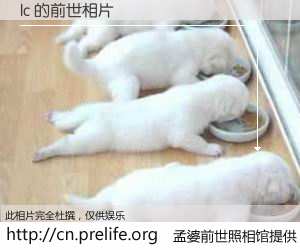 #孟婆前世照相馆# 【lc 的前世相片】我们都曾从奈何桥上走过，喝下三碗忘川之水烹煮的孟婆汤，忘却了前尘旧事。孟婆前世照相馆，保存着你前世的数码相片。lc 的前世相片，有图有真相：