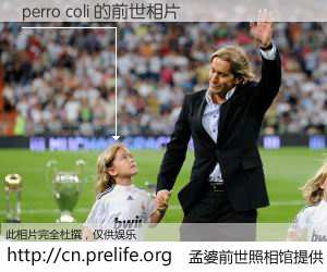 #孟婆前世照相馆# 【perro coli 的前世相片】我们都曾从奈何桥上走过，喝下三碗忘川之水烹煮的孟婆汤，忘却了前尘旧事。孟婆前世照相馆，保存着你前世的数码相片。perro coli 的前世相片，有图有真相：