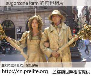 #孟婆前世照相馆# 【sugarcane farm 的前世相片】我们都曾从奈何桥上走过，喝下三碗忘川之水烹煮的孟婆汤，忘却了前尘旧事。孟婆前世照相馆，保存着你前世的数码相片。sugarcane farm 的前世相片，有图有真相：