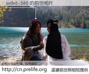 #孟婆前世照相馆# 【svdvd-560 的前世相片】我们都曾从奈何桥上走过，喝下三碗忘川之水烹煮的孟婆汤，忘却了前尘旧事。孟婆前世照相馆，保存着你前世的数码相片。svdvd-560 的前世相片，有图有真相：