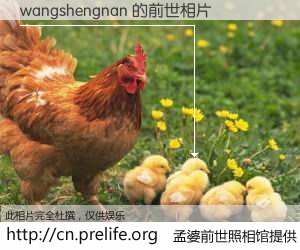 #孟婆前世照相馆# 【wangshengnan 的前世相片】我们都曾从奈何桥上走过，喝下三碗忘川之水烹煮的孟婆汤，忘却了前尘旧事。孟婆前世照相馆，保存着你前世的数码相片。wangshengnan 的前世相片，有图有真相：