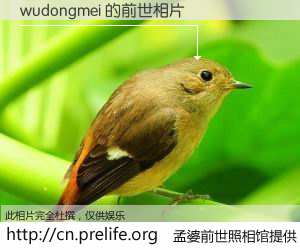 #孟婆前世照相馆# 【wudongmei 的前世相片】我们都曾从奈何桥上走过，喝下三碗忘川之水烹煮的孟婆汤，忘却了前尘旧事。孟婆前世照相馆，保存着你前世的数码相片。wudongmei 的前世相片，有图有真相：