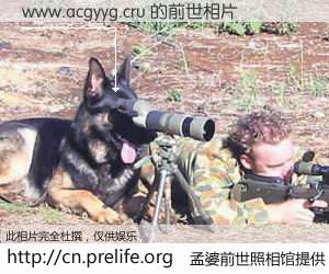 #孟婆前世照相馆# 【www.acgyyg.cru 的前世相片】我们都曾从奈何桥上走过，喝下三碗忘川之水烹煮的孟婆汤，忘却了前尘旧事。孟婆前世照相馆，保存着你前世的数码相片。www.acgyyg.cru 的前世相片，有图有真相：