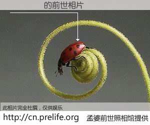 #孟婆前世照相馆# 【���� 的前世相片】我们都曾从奈何桥上走过，喝下三碗忘川之水烹煮的孟婆汤，忘却了前尘旧事。孟婆前世照相馆，保存着你前世的数码相片。���� 的前世相片，有图有真相：