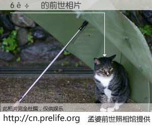 #孟婆前世照相馆# 【����ݽ 的前世相片】我们都曾从奈何桥上走过，喝下三碗忘川之水烹煮的孟婆汤，忘却了前尘旧事。孟婆前世照相馆，保存着你前世的数码相片。����ݽ 的前世相片，有图有真相：