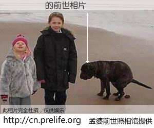 #孟婆前世照相馆# 【ʩԪ�� 的前世相片】我们都曾从奈何桥上走过，喝下三碗忘川之水烹煮的孟婆汤，忘却了前尘旧事。孟婆前世照相馆，保存着你前世的数码相片。ʩԪ�� 的前世相片，有图有真相：