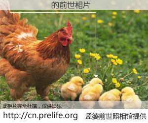 #孟婆前世照相馆# 【����Զ 的前世相片】我们都曾从奈何桥上走过，喝下三碗忘川之水烹煮的孟婆汤，忘却了前尘旧事。孟婆前世照相馆，保存着你前世的数码相片。����Զ 的前世相片，有图有真相：