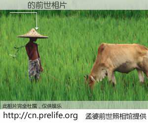 #孟婆前世照相馆# 【Ű֥ 的前世相片】我们都曾从奈何桥上走过，喝下三碗忘川之水烹煮的孟婆汤，忘却了前尘旧事。孟婆前世照相馆，保存着你前世的数码相片。Ű֥ 的前世相片，有图有真相：