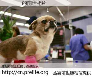 #孟婆前世照相馆# 【�ܾ� 的前世相片】我们都曾从奈何桥上走过，喝下三碗忘川之水烹煮的孟婆汤，忘却了前尘旧事。孟婆前世照相馆，保存着你前世的数码相片。�ܾ� 的前世相片，有图有真相：