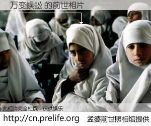 #孟婆前世照相馆# 【万变蜈蚣 的前世相片】我们都曾从奈何桥上走过，喝下三碗忘川之水烹煮的孟婆汤，忘却了前尘旧事。孟婆前世照相馆，保存着你前世的数码相片。万变蜈蚣 的前世相片，有图有真相：