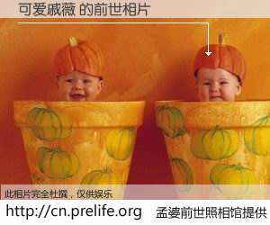 #孟婆前世照相馆# 【可爱戚薇 的前世相片】我们都曾从奈何桥上走过，喝下三碗忘川之水烹煮的孟婆汤，忘却了前尘旧事。孟婆前世照相馆，保存着你前世的数码相片。可爱戚薇 的前世相片，有图有真相：