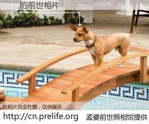 #孟婆前世照相馆# 【兦 的前世相片】我们都曾从奈何桥上走过，喝下三碗忘川之水烹煮的孟婆汤，忘却了前尘旧事。孟婆前世照相馆，保存着你前世的数码相片。兦 的前世相片，有图有真相：